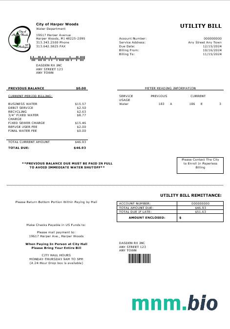 USA Miasto HARPER WOODS rachunek za usługi komunalne słowo i szablon PDF